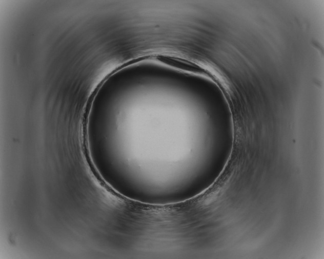 X0000091190999200708231504