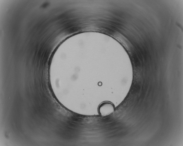 X0000091191000200708231504