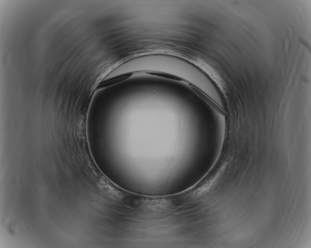 X0000091191001200708231504