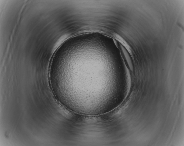 X0000091191002200708231504