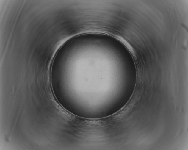 X0000091191004200708231504