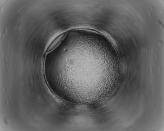 X0000091191006200708231504