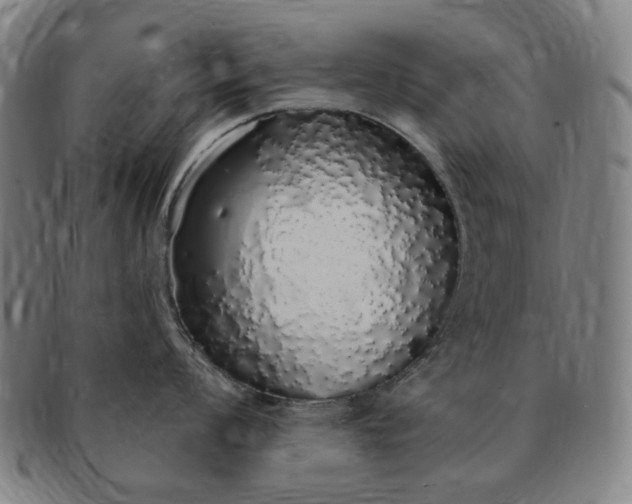 X0000091191008200708231504