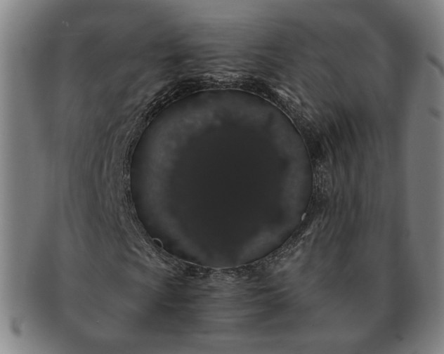 X0000091191009200708231504