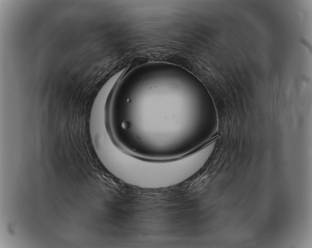 X0000091191010200708231504