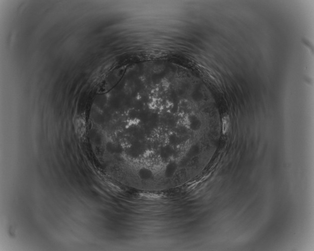 X0000091191011200708231504