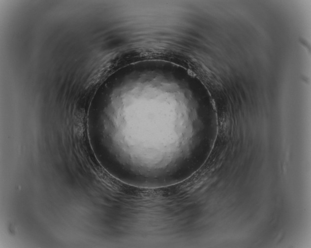 X0000091191012200708231504