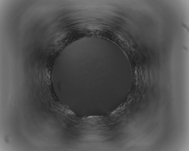 X0000091191013200708231504