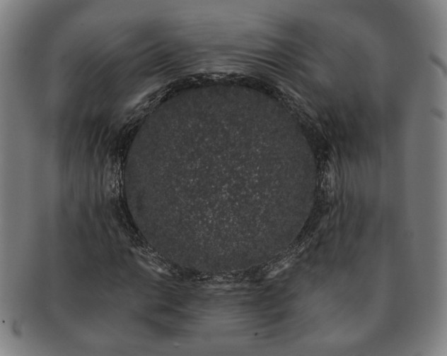 X0000091191014200708231504