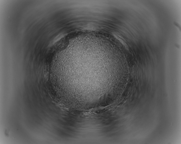 X0000091191015200708231504