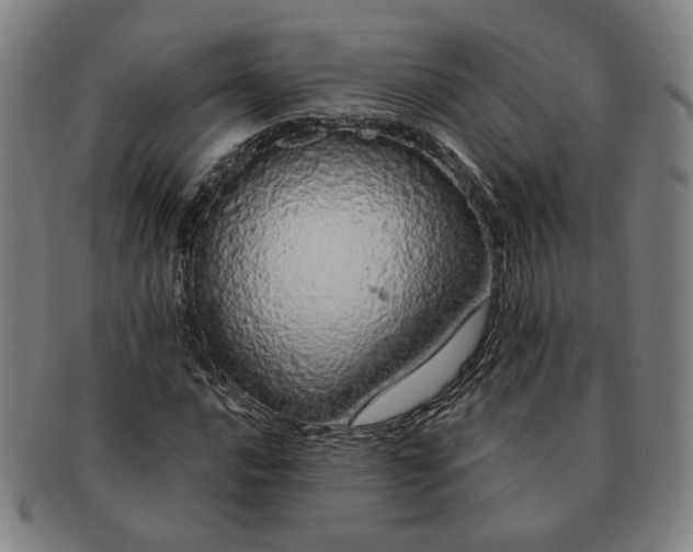 X0000091191016200708231504