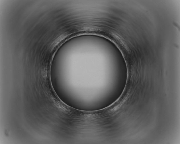 X0000091191017200708231504