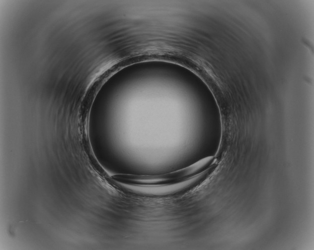 X0000091191018200708231504