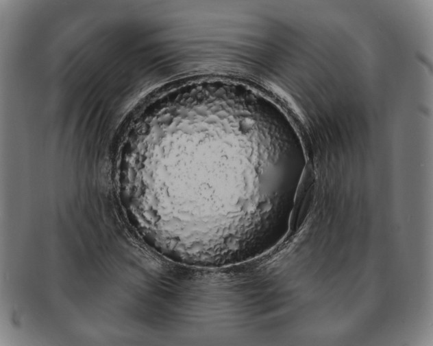 X0000091191019200708231504