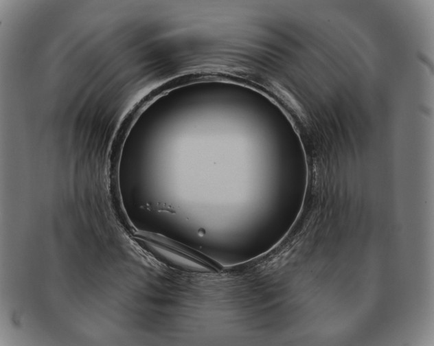 X0000091191020200708231504