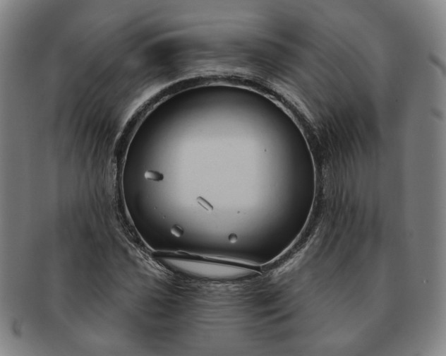 X0000091191021200708231504