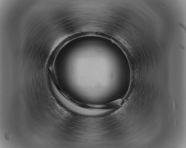 X0000091191022200708231504