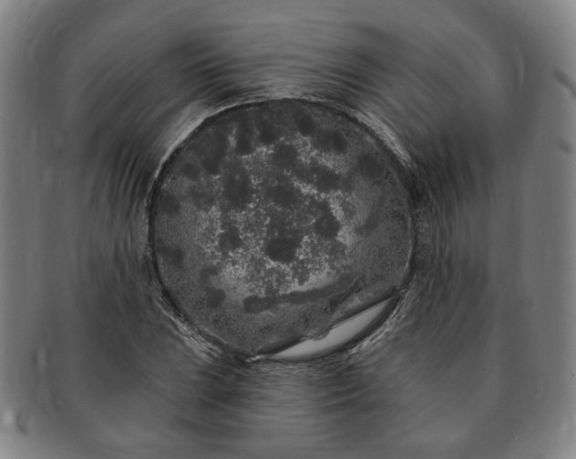 X0000091191023200708231504