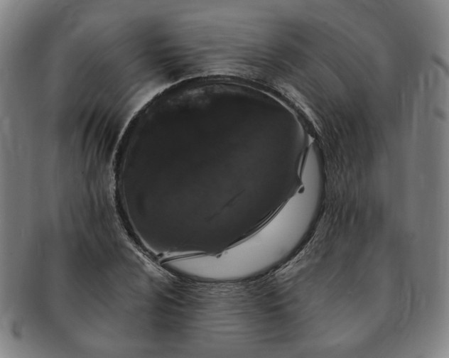 X0000091191024200708231504