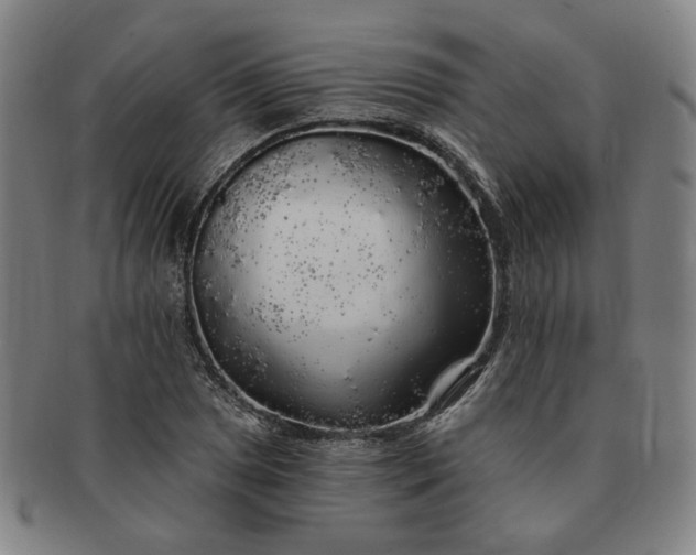 X0000091191025200708231504