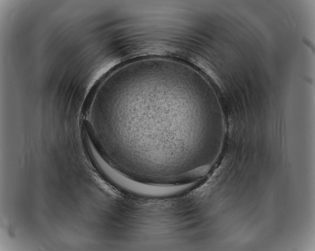 X0000091191026200708231504