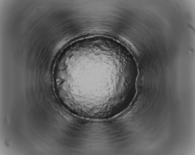 X0000091191027200708231504