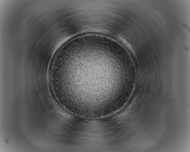 X0000091191028200708231504