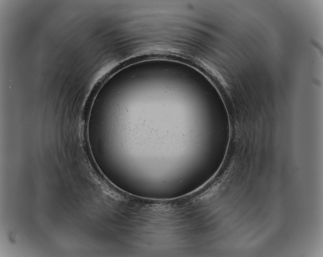 X0000091191029200708231504