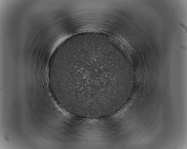 X0000091191030200708231504