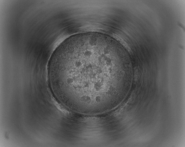 X0000091191031200708231504