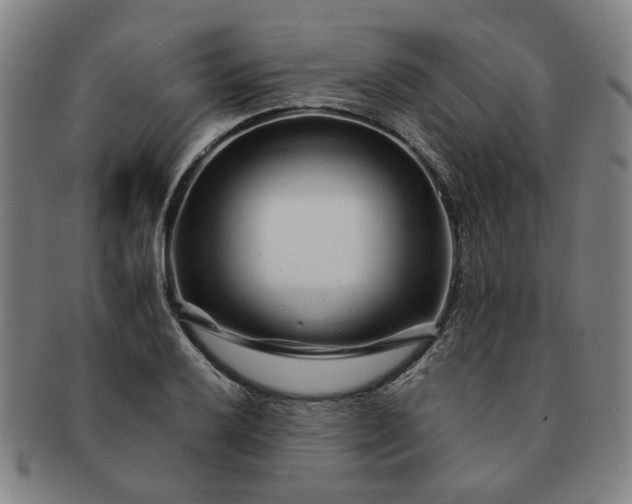 X0000091191032200708231504