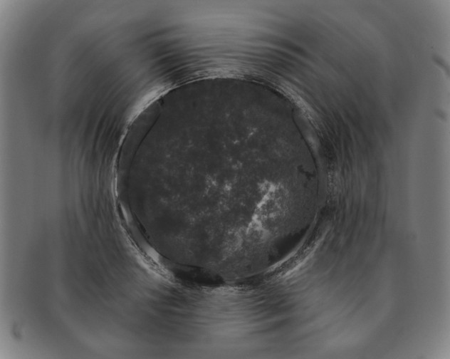 X0000091191034200708231504