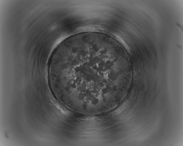 X0000091191035200708231504