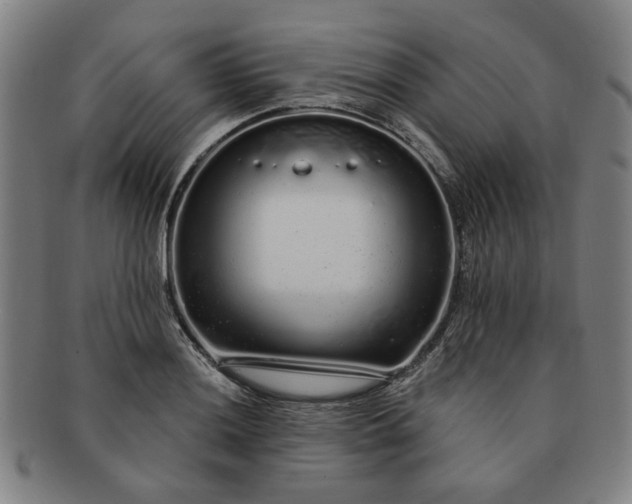 X0000091191036200708231504