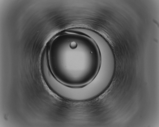 X0000091191038200708231504