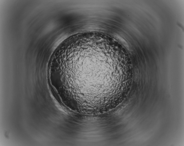 X0000091191039200708231504