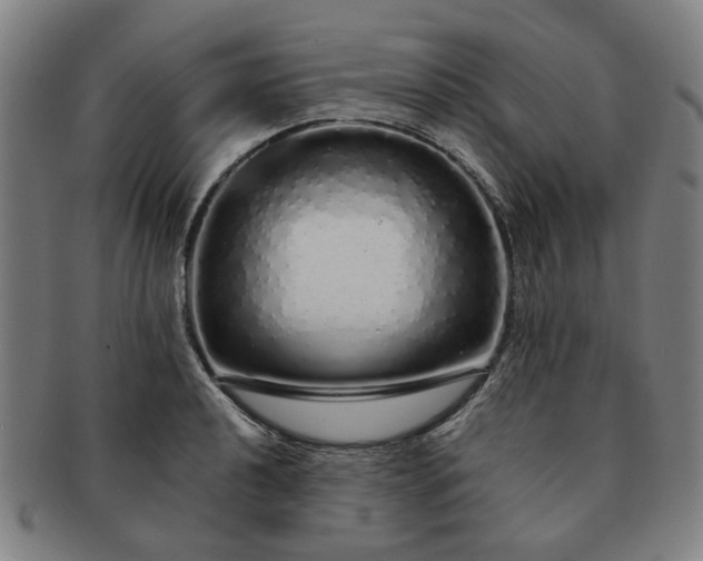 X0000091191040200708231504