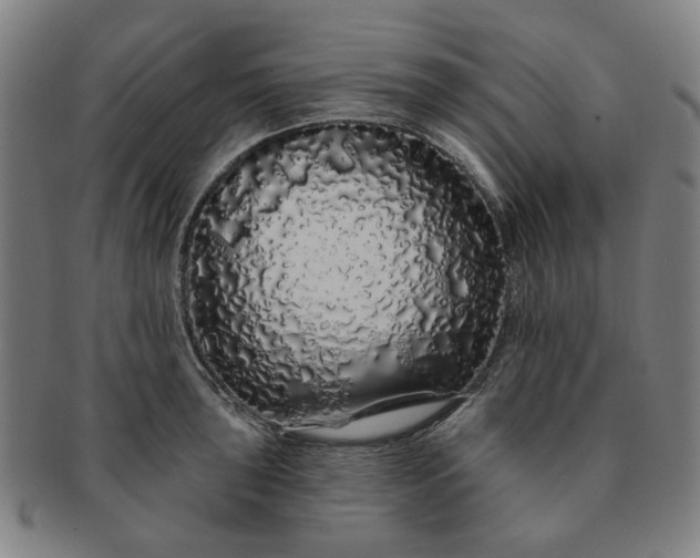 X0000091191043200708231504