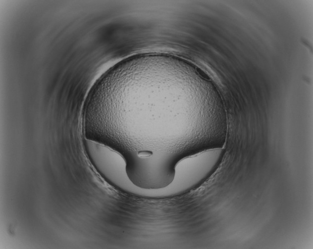 X0000091191044200708231504