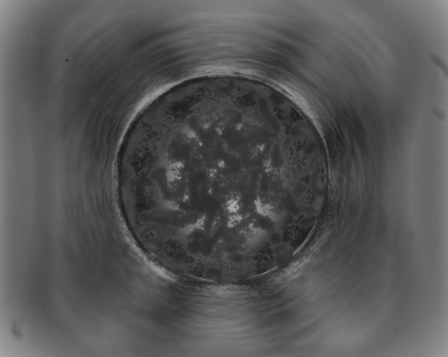 X0000091191045200708231504