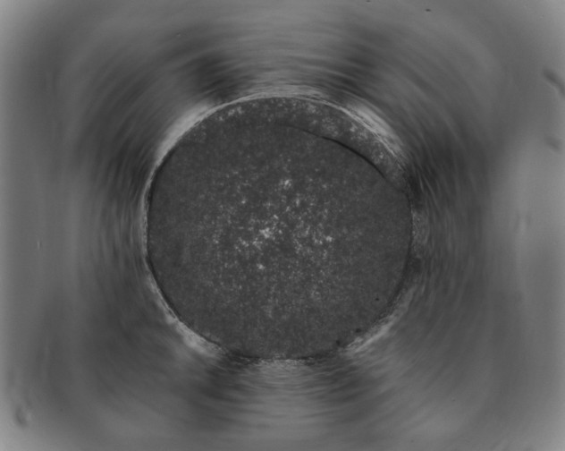 X0000091191046200708231504