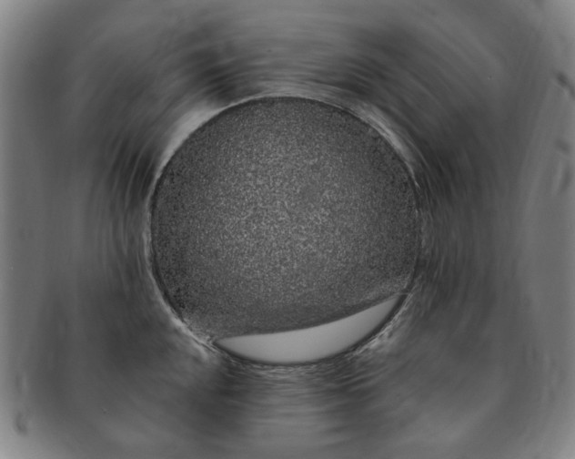 X0000091191048200708231504