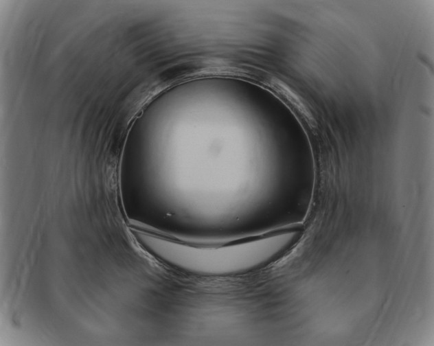 X0000091191049200708231504