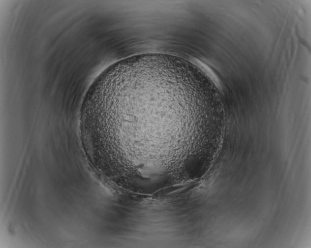 X0000091191051200708231504