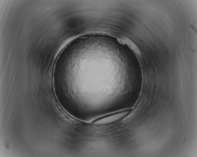 X0000091191052200708231504