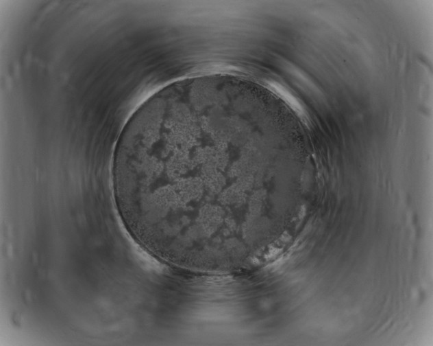 X0000091191055200708231504