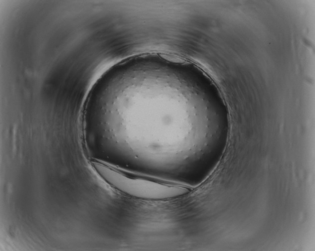 X0000091191056200708231504