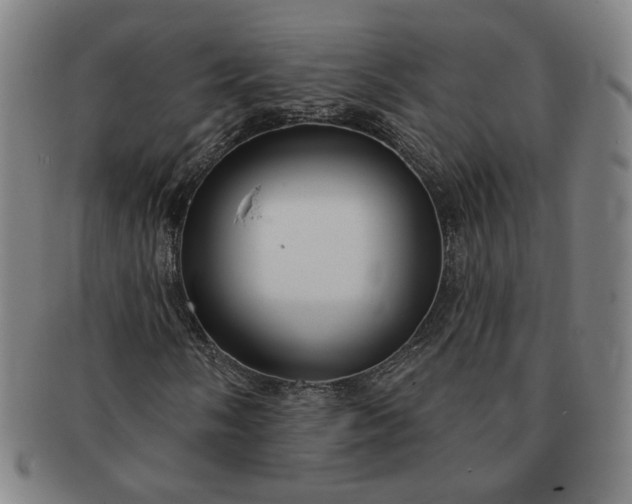 X0000091191058200708231504