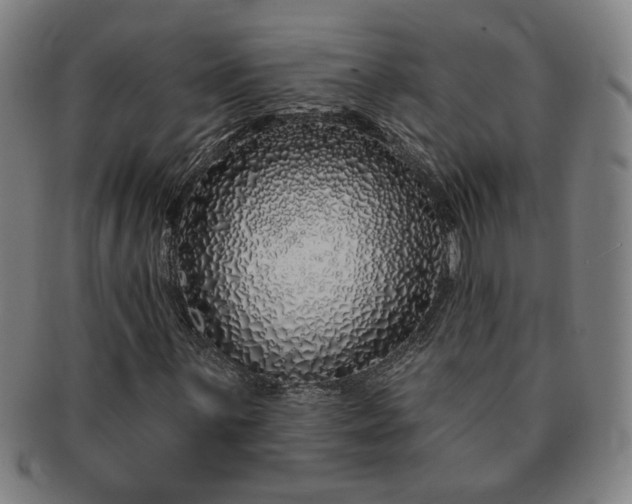 X0000091191059200708231504