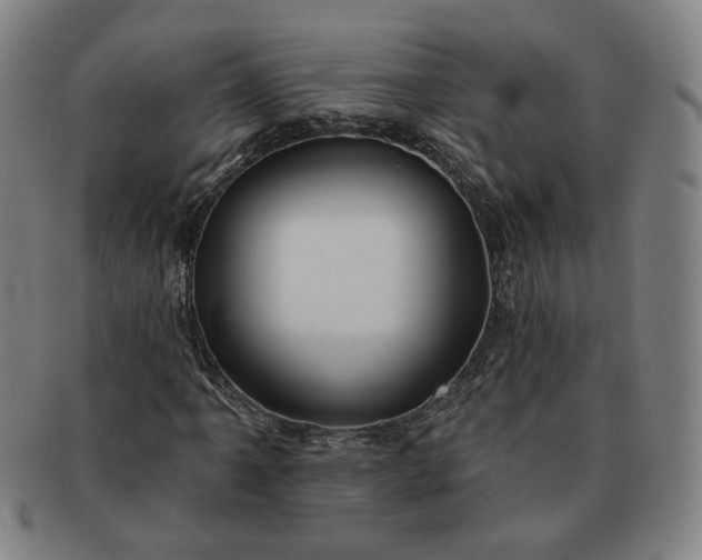 X0000091191061200708231504